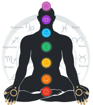 Online Best Nadi Astrologer