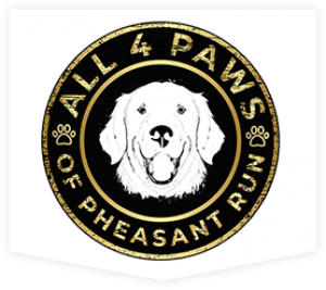 dog logo bg