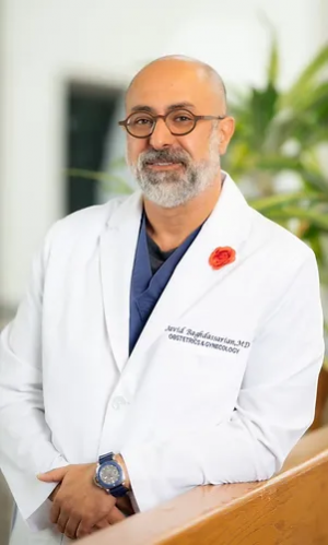 Dedicated Obstetrician and Gynecologist David Baghdassarian, MD, FACOG, Joins Pulse and Poise Clinic, Bringing Top-Notch Women's Health Services to Frisco, Texas