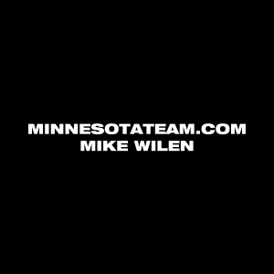 Mike Wilen Realty | MinnesotaTeam.com