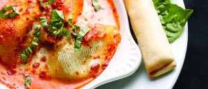 Nothing But Noodles, Fast Casual Franchise: Quality Ingredients Prepared Fresh Daily