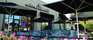 Nothing But Noodles Franchise Opportunites Across the Nation, Top Grossing Revenue of $2.5 million