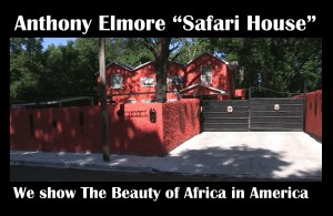 Black Memphis History World Kickbox Champ Amp Elmore Travels to Kenya Honor Dr. King Legacy Unite African & Black Family