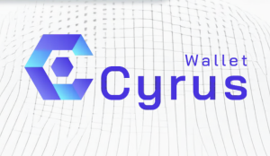 Designermall.io logo