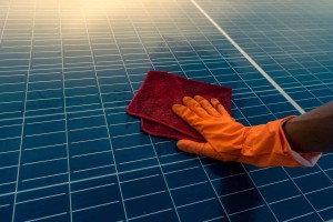 Solar Panel Cleaning