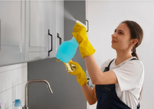 Regular House Cleaning