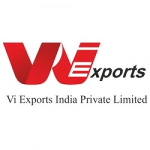 ViExport Logo 250X250
