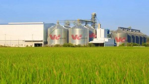 viexports FB banner image