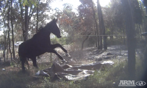 Screen Shot 2023 11 10 at 8 28 55 PM 1030x616