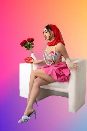 Inas X Singer Songwriter American Palestinian Celebrity