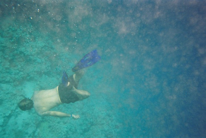 Diving in the Red Sea Diving in the Red Sea