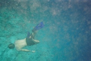 Diving in the Red Sea