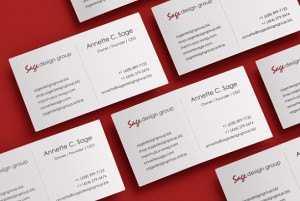 DREAMSPACE™ - Designs that define spaces that inspire.™ - Annette C. Sage, Owner / Founder / CEO