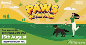Paws In The Park