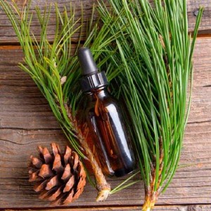 Pine-derived Chemicals Market,Pine-derived Chemicals Market size,Pine-derived Chemicals