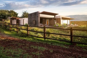 Mario Mendoza Marichal La Perennia Tlaxcala