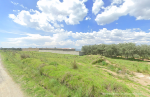 Mario Mendoza Marichal La Perennia Un Parai so Ecolo gico