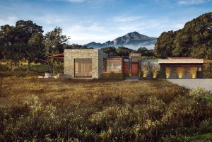 Mario Mendoza Marichal La Perennia