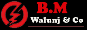 B.M.Walunj & Co