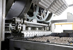 4hghy egg tray machine10