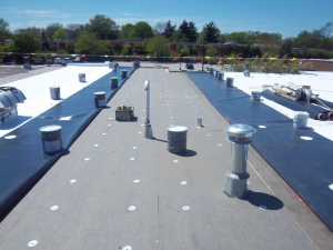 TPO roof