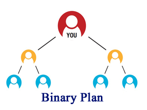 Binary MLM Software