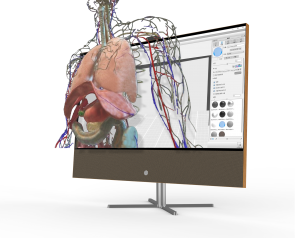 Spatial Display Surgical Monitor