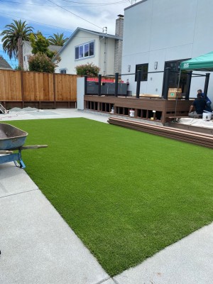 Synthetic Turfs in San Carlos