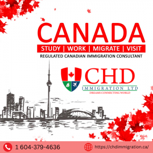 Immigration Company Surrey