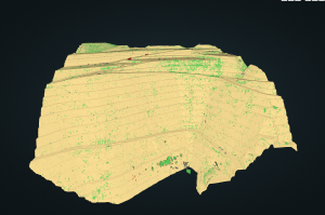 Mining Classification