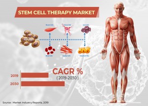 Stem Cell Therapy Market Status and Future Forecast from 2019 to 2030. 