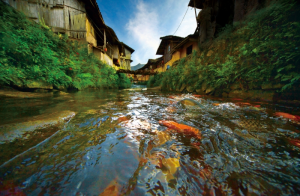 The 13th Ningde World Geopark Cultural Tourism Festival