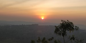 Indigenous Organic Chicken Farm