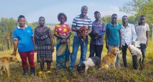 Well designed Chicken coops for regenerative Agriculture