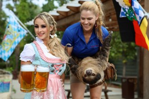 Houston Oktoberfest Sloth 2024 Housto Interactive Aquarium