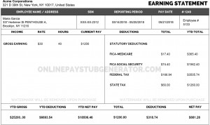 Onlinepaystubgenerator is Here for Faster & Efficient Paystubs with New Template Designs