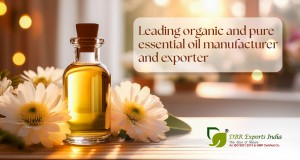 essential oil manufacturer