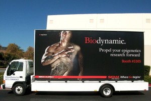 Outdoor branding design