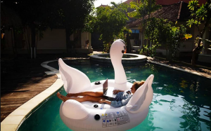 Breakfast at Colive.me Ahangama Sri Lanka