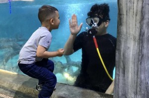 Houston SCUBA like Diving Experience with live Stingrays, Eels, Groupers, and even Sharks!