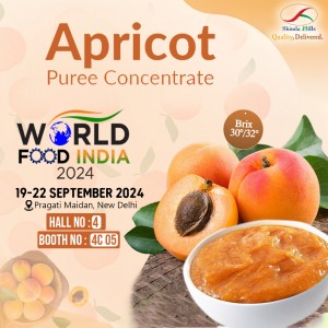 Shimla Hills lemon juice concentrate world food india