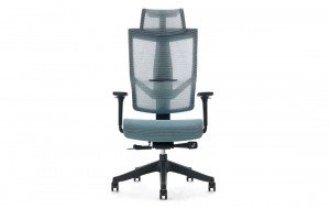Ergonomic Chair