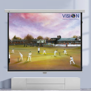 Best projector screen near me Visionsheen