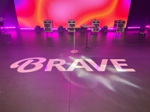 Brave Custom Signs Done By Artisan Sign Works