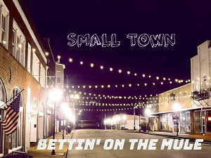 Small Town Cover