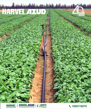 Portable Sprinkler harvelgroup