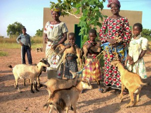 Beneficiaries of the project thrilled to share their success stories with the goats