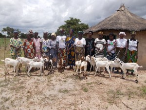Donation of goats to women on International Women Day in Burkina Faso