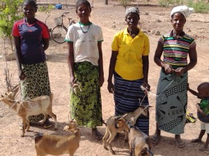 Empowering women with goats to raise as mean of fighting extreme poverty