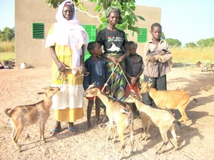 Impacts of the goats donation programs on women. From one to many goats